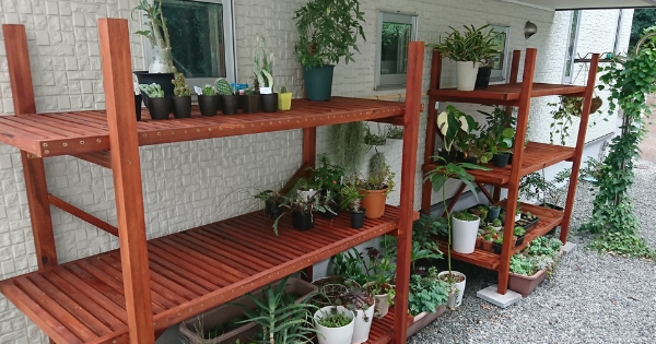 植物棚DIY
